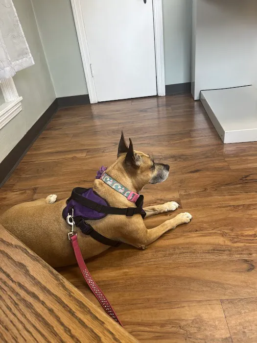 Whispering Pines Veterinary Services - Hermitage Picture 7