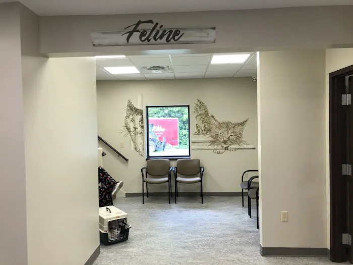Fette Veterinary Clinic Picture 4