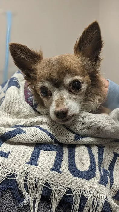 Fette Veterinary Clinic Picture 6