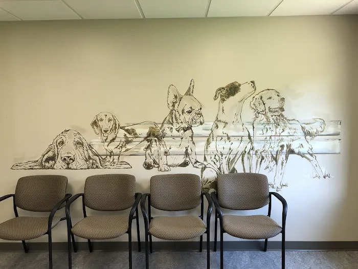 Fette Veterinary Clinic Picture 10