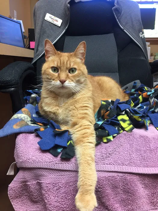 Happy Tales Veterinary Hospital Picture 10