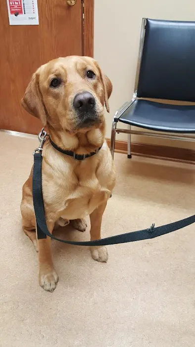 Happy Tales Veterinary Hospital Picture 6