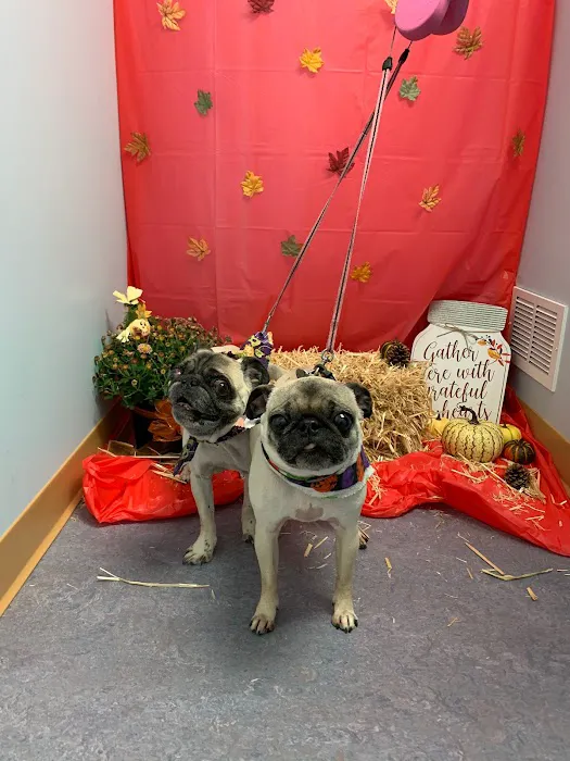 Happy Tales Veterinary Hospital Picture 7