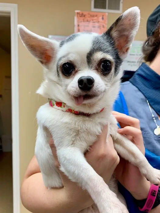 Happy Tales Veterinary Hospital Picture 4