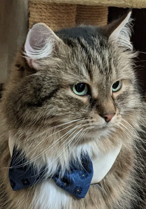 Penn-Ohio Veterinary Services Picture 1