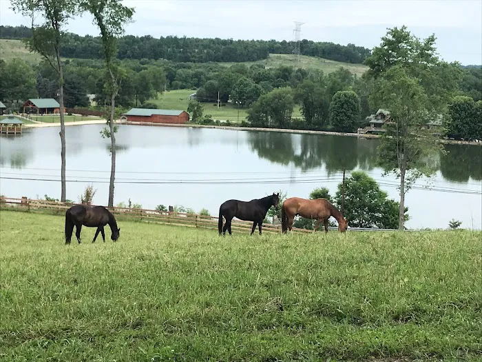 North Country Equine, LLC Picture 2