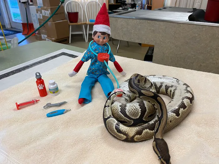 Rainbow Veterinary Hospital Picture 2
