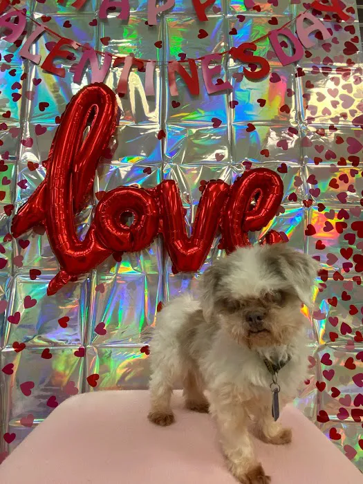 Rainbow Veterinary Hospital Picture 6