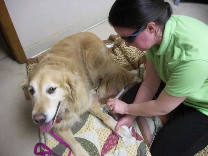 Green Valley Veterinary Hospital Picture 2