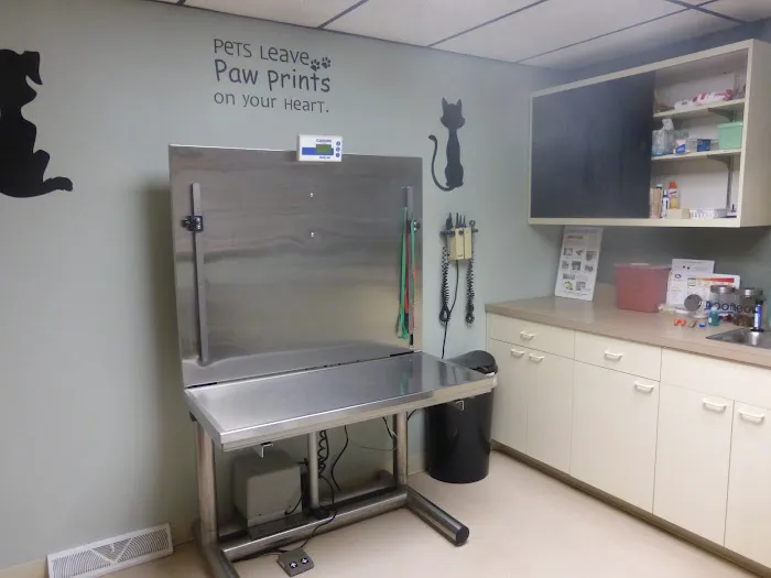 Green Valley Veterinary Hospital Picture 10