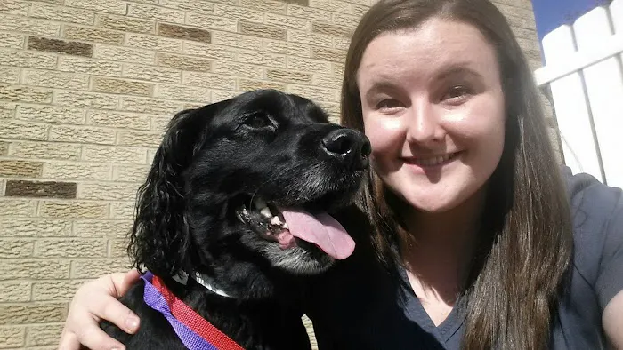 Green Valley Veterinary Hospital Picture 6