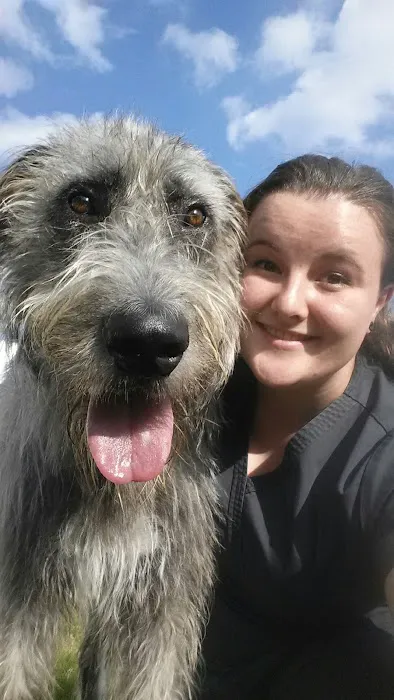 Green Valley Veterinary Hospital Picture 4