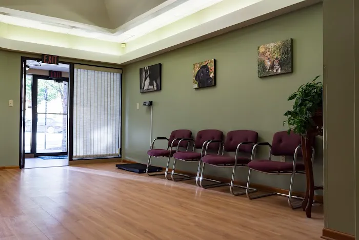 Big Rock Veterinary Hospital Picture 6