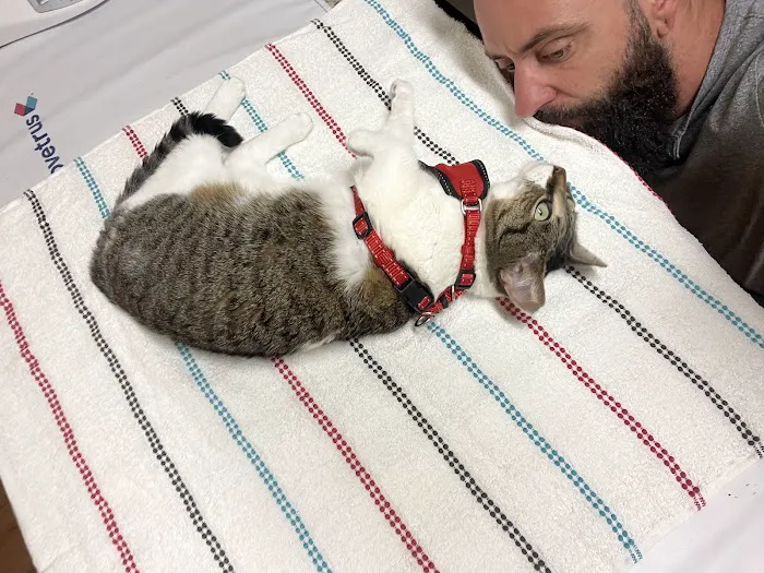 Big Rock Veterinary Hospital Picture 7