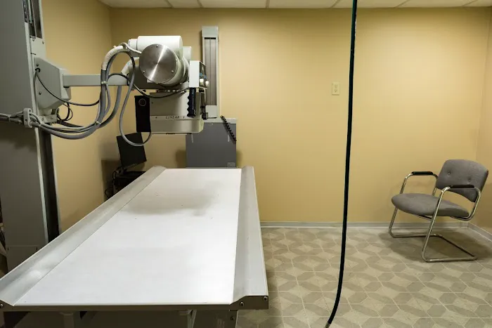Big Rock Veterinary Hospital Picture 4