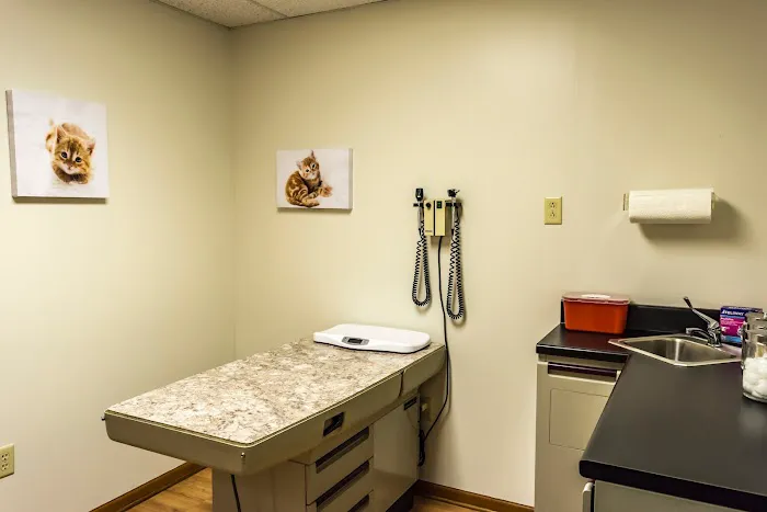 Big Rock Veterinary Hospital Picture 10