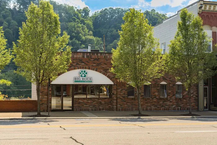 Big Rock Veterinary Hospital Picture 5