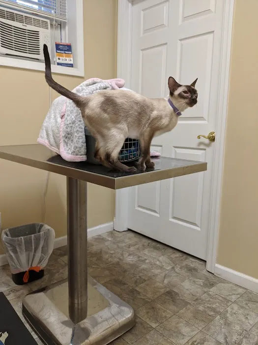 Pets in Harmony Veterinary Hospital Picture 6