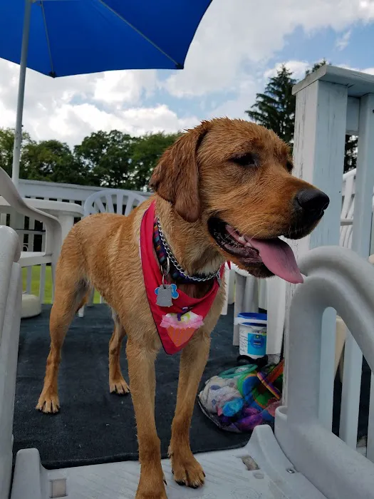 Brady's Run Veterinary Hospital Picture 9