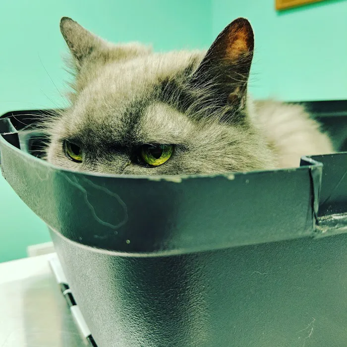 Brady's Run Veterinary Hospital Picture 2
