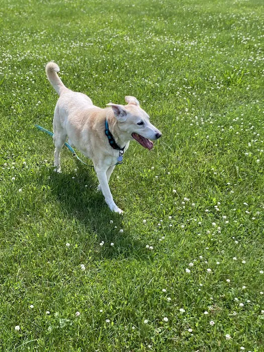 Brady's Run Veterinary Hospital Picture 4