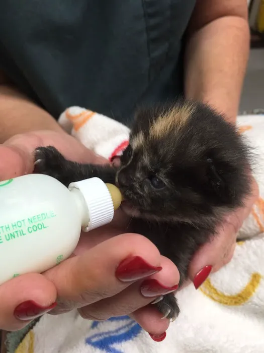 Brady's Run Veterinary Hospital Picture 10