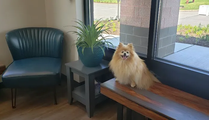 Crescent Ridge Veterinary Hospital Picture 2