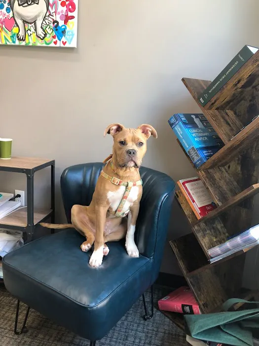 Crescent Ridge Veterinary Hospital Picture 5