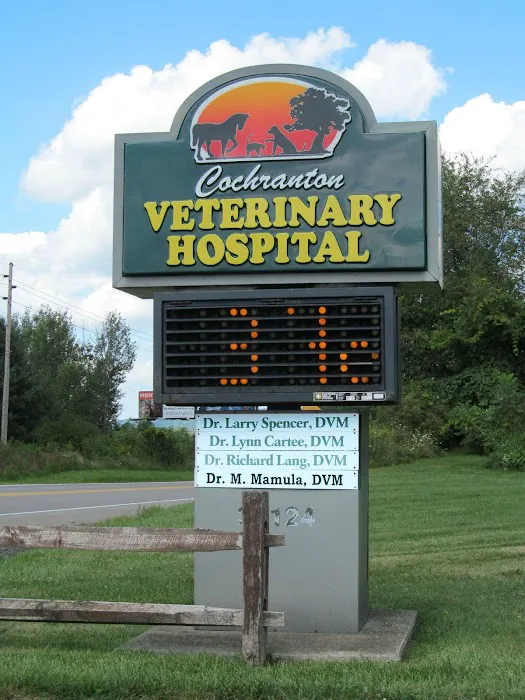 CareVet of Cochranton Picture 3