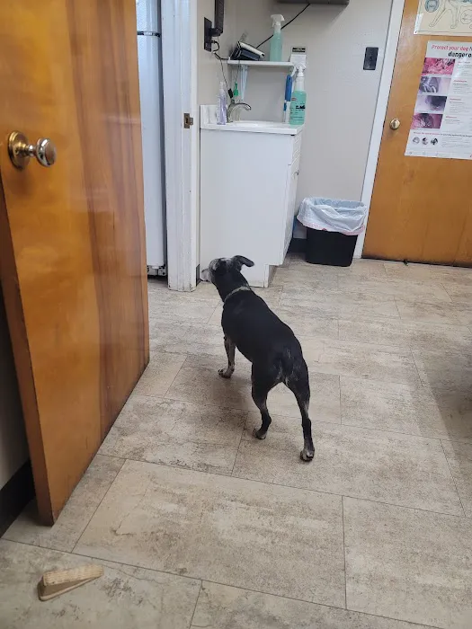 Titusville Veterinary Clinic Picture 6