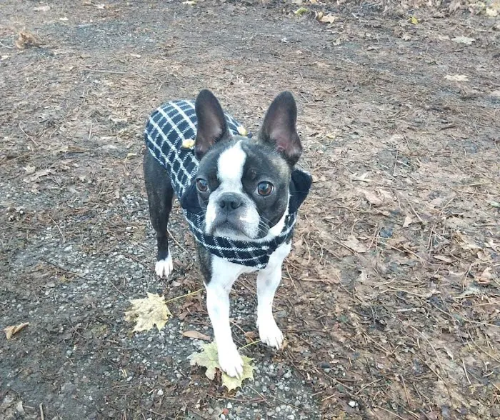 Marley Veterinary Clinic Picture 3