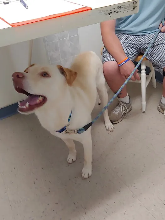 Marley Veterinary Clinic Picture 4