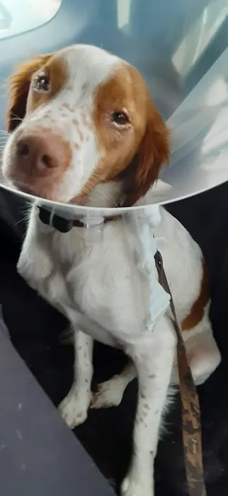 Marley Veterinary Clinic: Turner Amanda DVM Picture 2