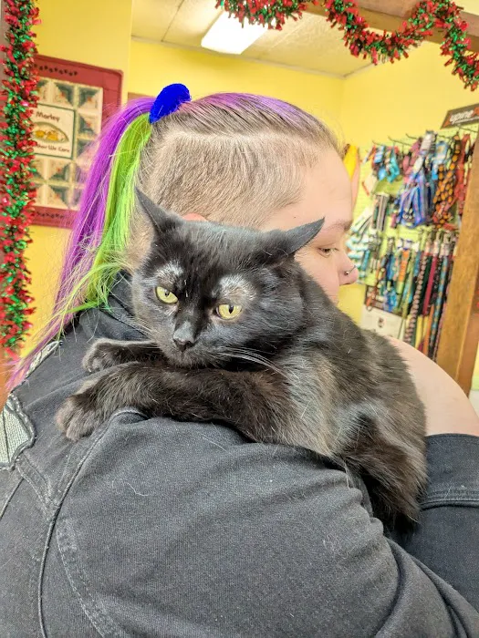 Marley Veterinary Clinic: Turner Amanda DVM Picture 4