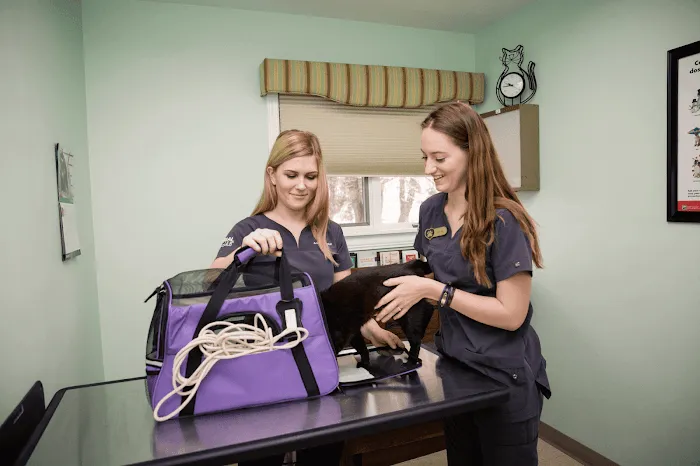 Hilltop Animal Hospital Picture 10