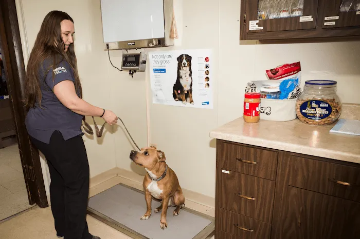Hilltop Animal Hospital Picture 7