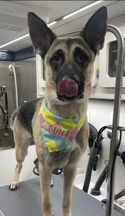 Hilltop Animal Hospital Picture 1