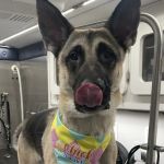 Hilltop Animal Hospital
