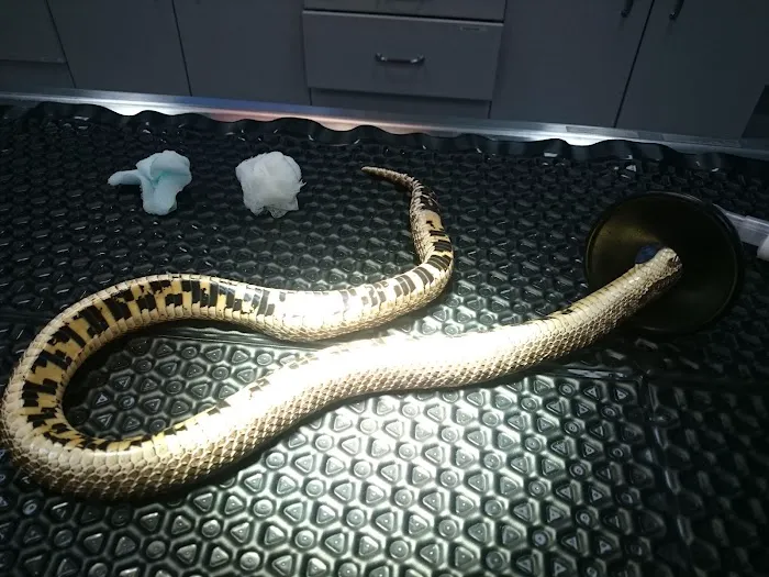 Hilltop Animal Hospital Picture 6