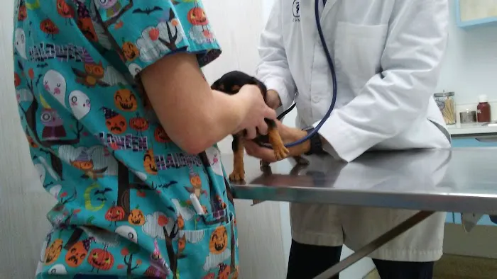 Steubenville Veterinary Hospital Picture 8