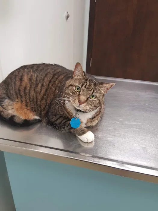 Steubenville Veterinary Hospital Picture 5