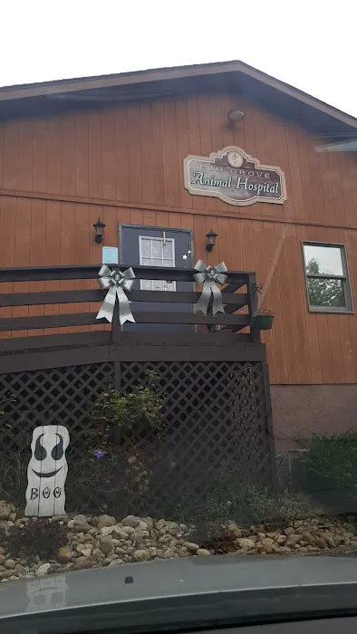 Elm Grove Animal Hospital Picture 7