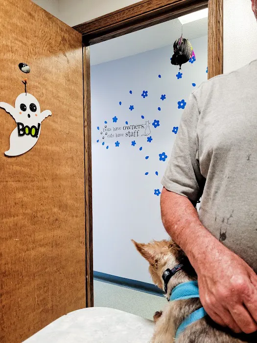 Elm Grove Animal Hospital Picture 10