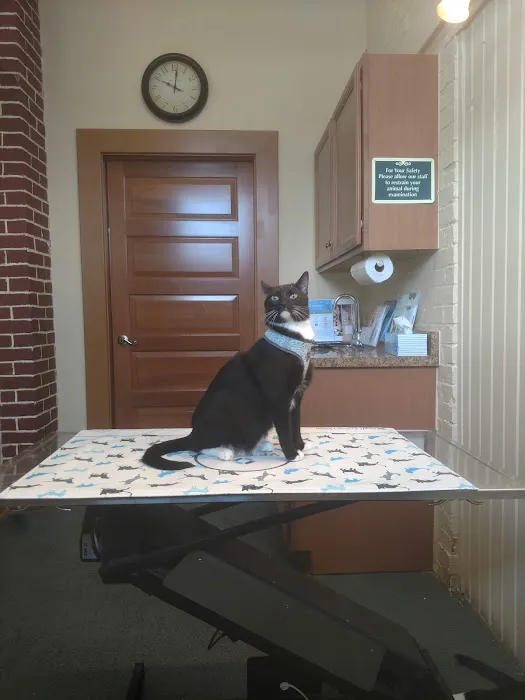 Wheeling Veterinary Associates Picture 10