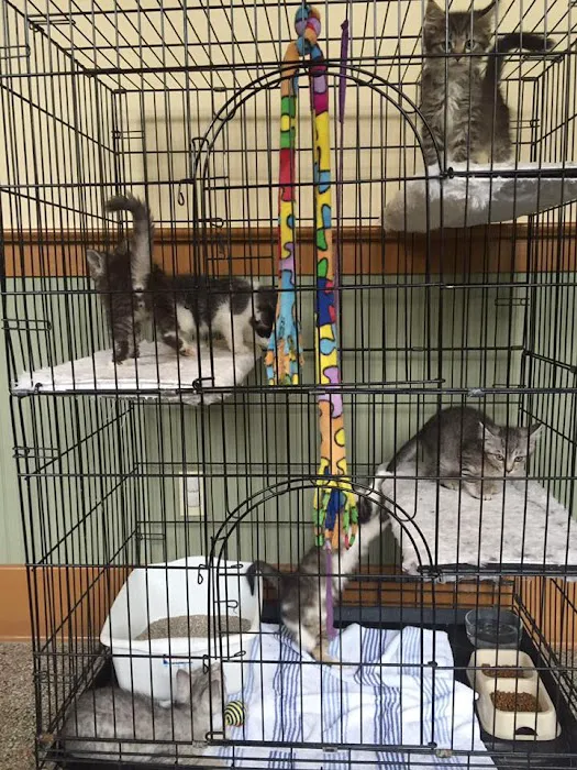 Wheeling Veterinary Associates Picture 1