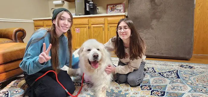 K.E.Y. Animal Hospital Picture 1