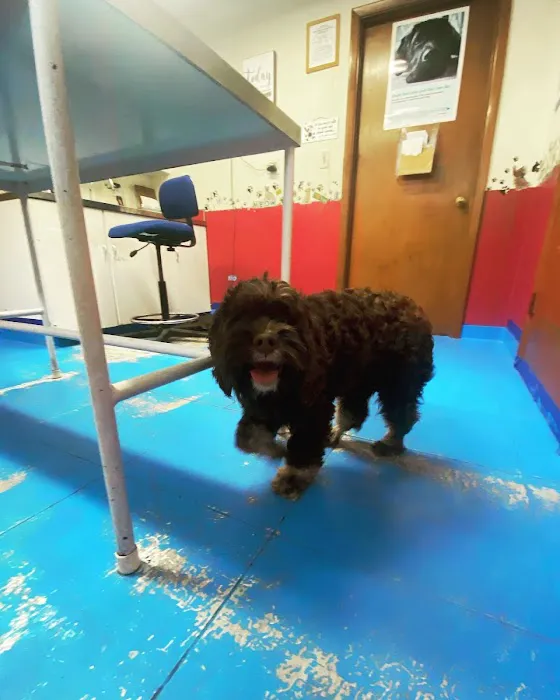 Long Run Pet Hospital Picture 6