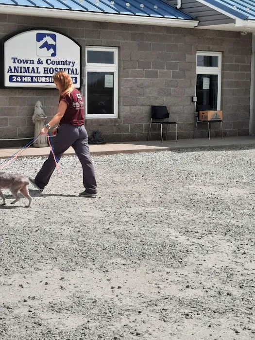 Town & Country Animal Hospital Picture 10