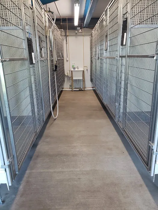 Camp Radcliffe's Boarding Picture 6