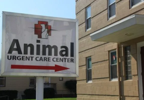 Animal Urgent Care Center Picture 5